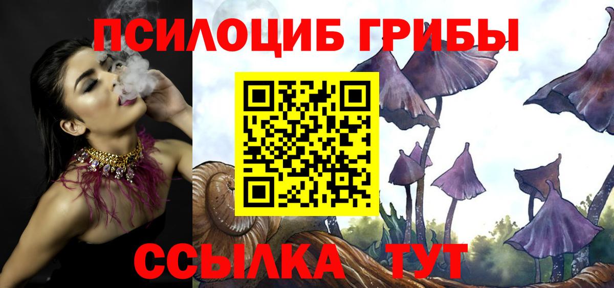 Красноярск  Галлюциногенные грибы ЛСД  Вход с VPN 